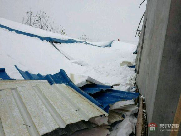 山東省日照市莒縣某大型標(biāo)準(zhǔn)化養(yǎng)鴨場遭遇雪災(zāi) 山東省日照市莒縣某大型標(biāo)準(zhǔn)化養(yǎng)鴨場遭遇雪災(zāi)
