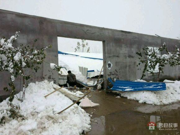 山東省日照市莒縣某大型標(biāo)準(zhǔn)化養(yǎng)鴨場遭遇雪災(zāi) 山東省日照市莒縣某大型標(biāo)準(zhǔn)化養(yǎng)鴨場遭遇雪災(zāi)
