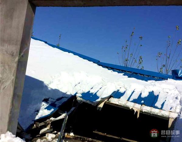莒縣大雪鴨場(chǎng)損失300萬，天災(zāi)人禍誰來償