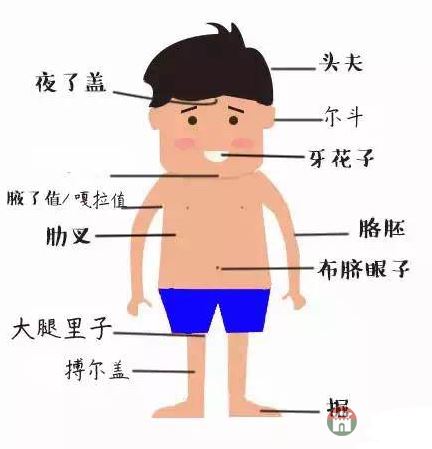 只有莒縣人才能看懂的人體構(gòu)造圖，好深奧好羞澀