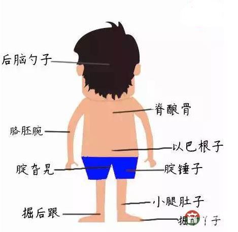 只有莒縣人才能看懂的人體構(gòu)造圖，好深奧好羞澀