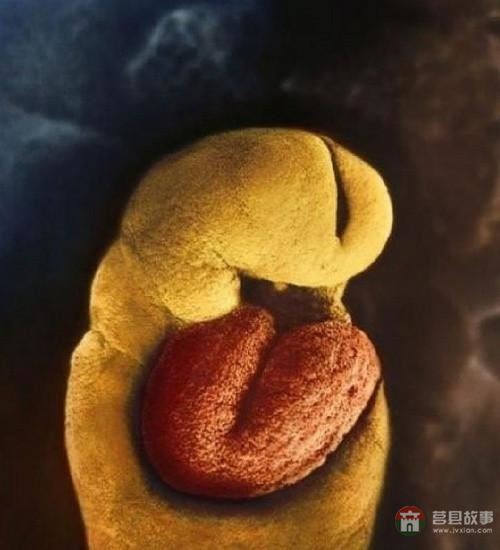 【真知】男人液體進(jìn)入女人體內(nèi)后發(fā)生的“化學(xué)反應(yīng)”，太震撼了……