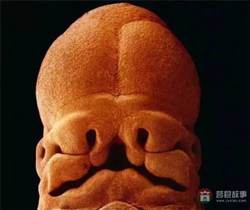 【真知】男人液體進(jìn)入女人體內(nèi)后發(fā)生的“化學(xué)反應(yīng)”，太震撼了……