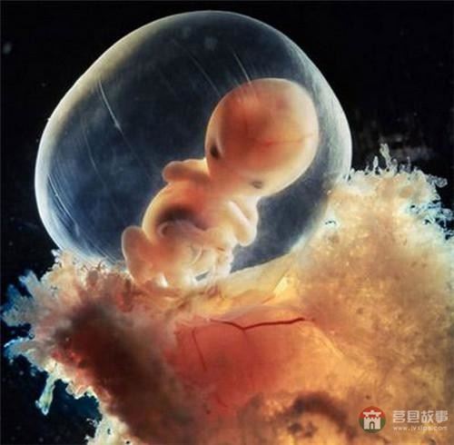 【真知】男人液體進(jìn)入女人體內(nèi)后發(fā)生的“化學(xué)反應(yīng)”，太震撼了……