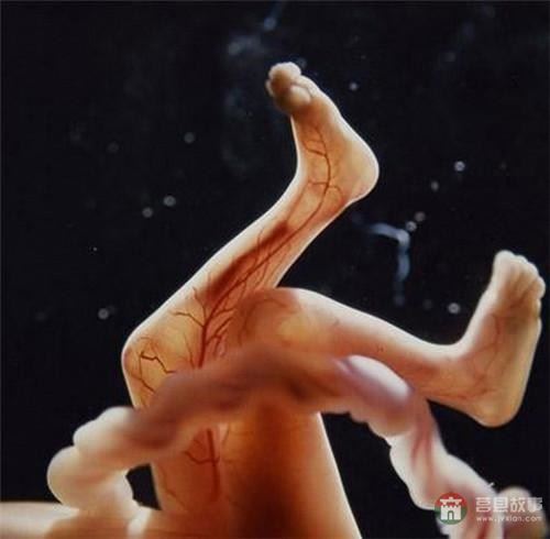 【真知】男人液體進(jìn)入女人體內(nèi)后發(fā)生的“化學(xué)反應(yīng)”，太震撼了……