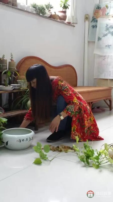 莒國文化源遠(yuǎn)流長(zhǎng)，山東莒縣美女畫家李修英工筆畫選
