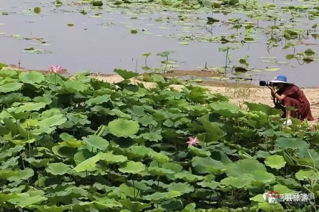 杭州的西湖，莒縣的西湖煙雨