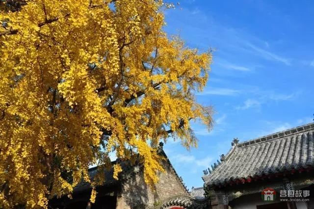 再過幾天，莒縣這個(gè)地方要火……先睹為快！