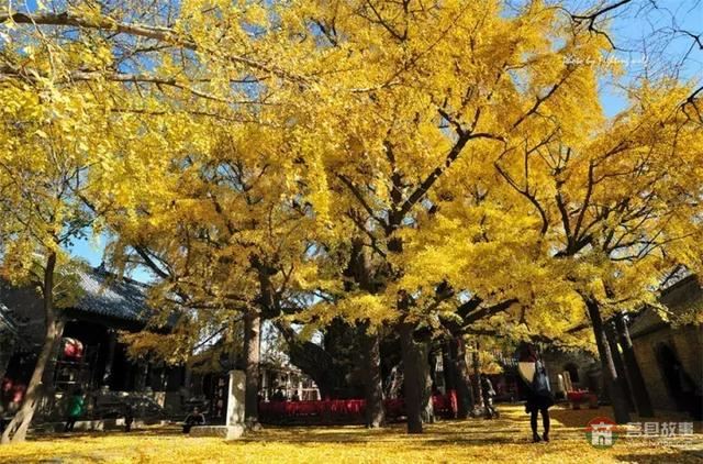 再過幾天，莒縣這個(gè)地方要火……先睹為快！