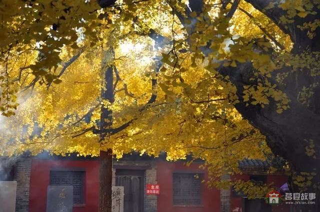 再過幾天，莒縣這個(gè)地方要火……先睹為快！