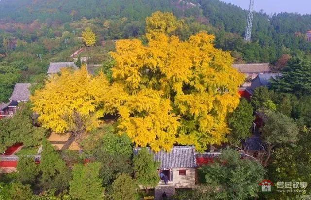 再過幾天，莒縣這個(gè)地方要火……先睹為快！