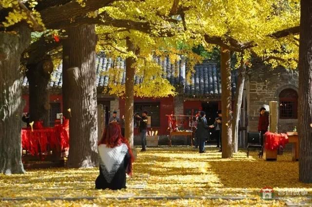 再過幾天，莒縣這個(gè)地方要火……先睹為快！
