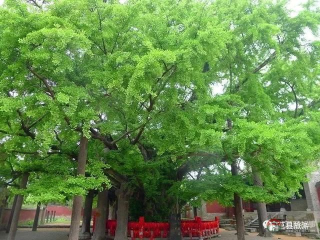厲害了，大莒縣！