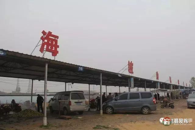 剛剛上市！莒縣這里好大一個“小油桃”，一年能賣3個億