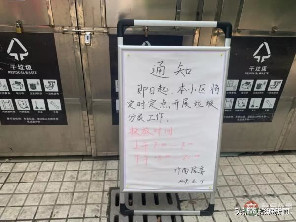 “逼瘋”上海人的垃圾分類背后，藏著中國人不知道的殘忍真相