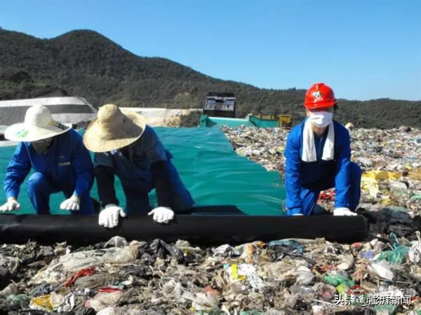 “逼瘋”上海人的垃圾分類背后，藏著中國人不知道的殘忍真相