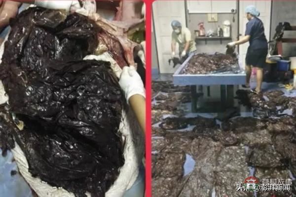 “逼瘋”上海人的垃圾分類背后，藏著中國人不知道的殘忍真相