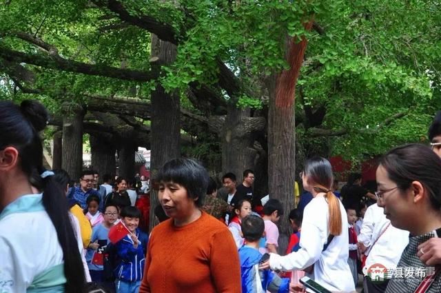 國慶假期莒縣最新“旅行情報圖”，為你泄密哪里“人從眾”