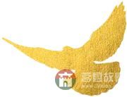 國慶假期莒縣最新“旅行情報圖”，為你泄密哪里“人從眾”