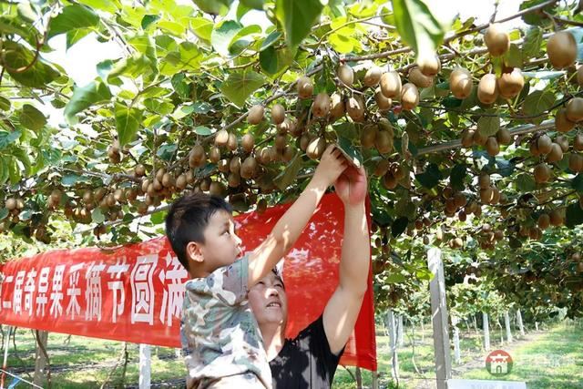 國慶假期莒縣最新“旅行情報圖”，為你泄密哪里“人從眾”