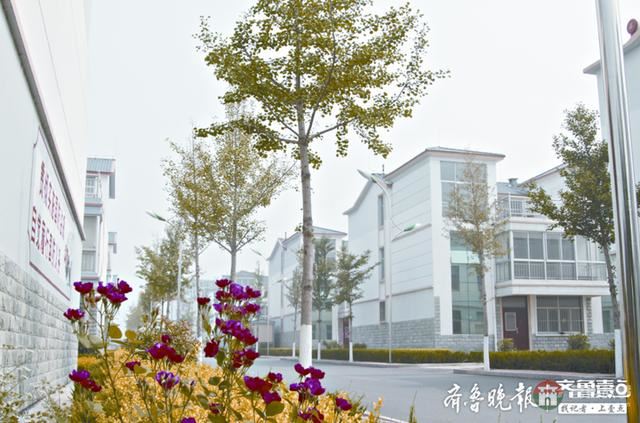 日照莒縣陵陽(yáng)街道:跑出高質(zhì)量發(fā)展“加速度”