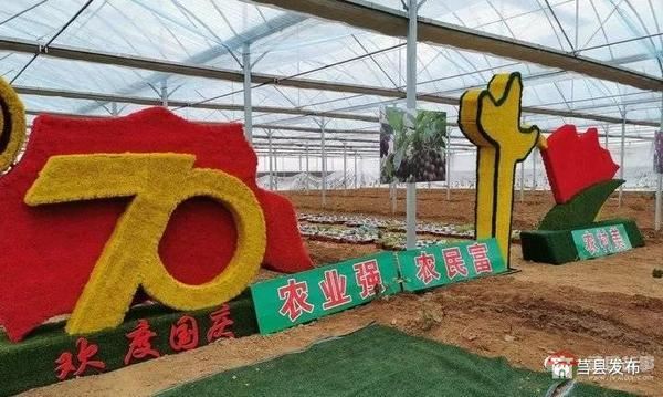 總投資1.2億元！莒縣這個(gè)“后花園”2020年上半年開門納客